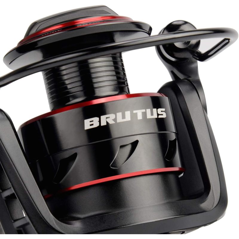 Carrete de Pesca Giratorio Kas - Kastking Reel Zephyr reseña y precio