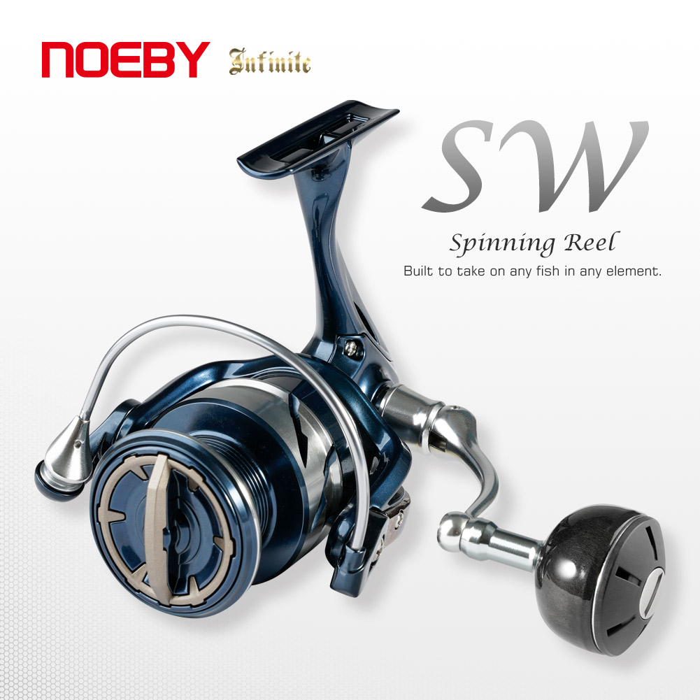 Carrete de Pesca Giratorio par - Daiwa Reel Bg reseña y precio